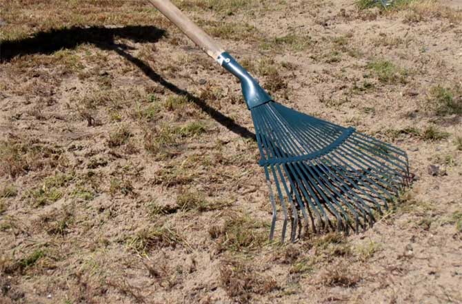 Расчесывание и удаление мха на газоне.