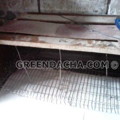 Подвесной пол в перепелиной клетке.