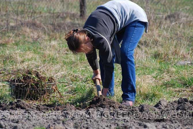  Перекопка огорода.