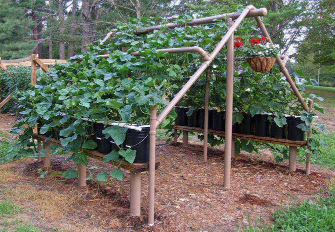 Решетка из труб ПВХ.