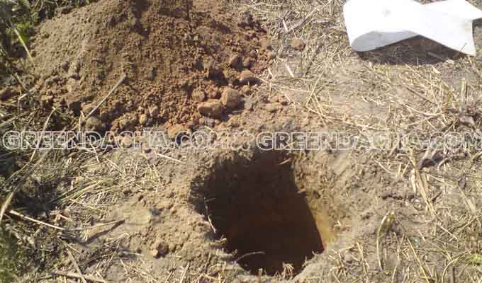 Копаем ямки под фундамент.